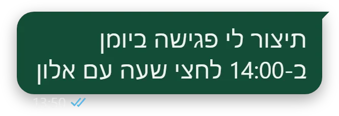 ההודעה שלי: תיצור לי פגישה ביומן ב-14:00 לחצי שעה עם אלון